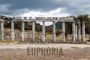 Euphoria photo by Aggelos Hill (3)